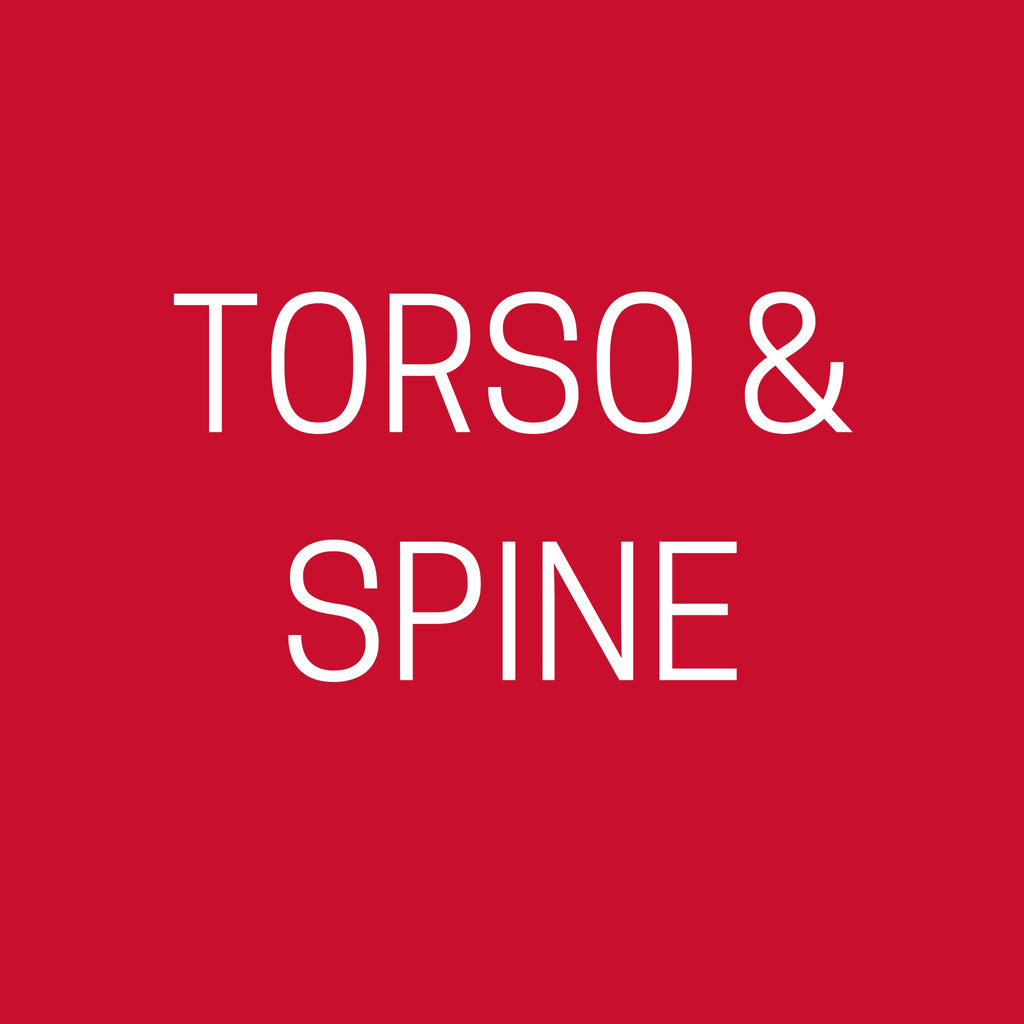 Torso & Spine